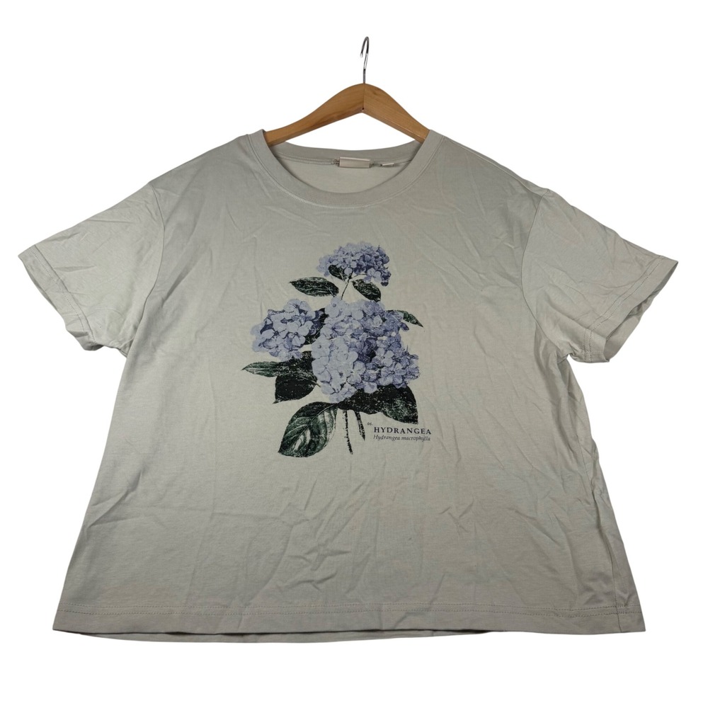Scotch & Soda Hydrangea Graphic T-Shirt Sage Green Boxy Cotton Tee Large